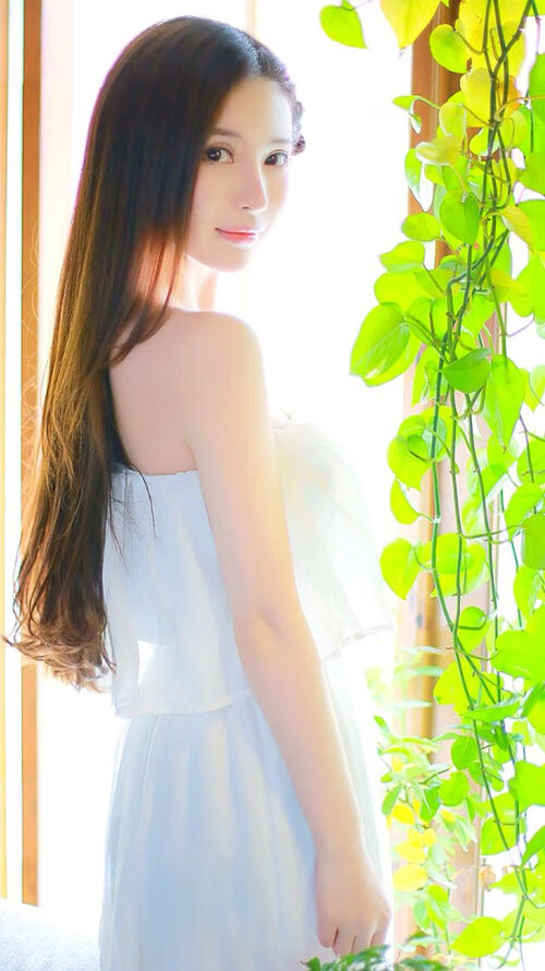 新星崛起:年轻车手的迅速崭露头角,形容新星崛起的口号