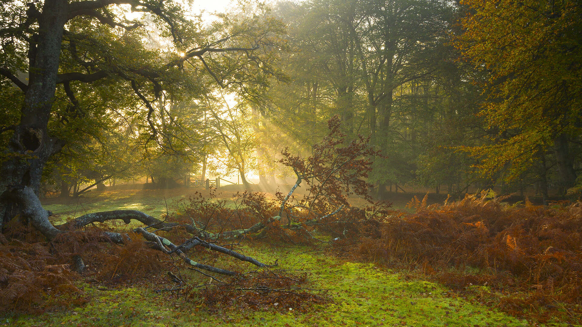 开云官网登录-_未来大赛：青少年预选赛激烈角逐_，未来杯国际青少年美术大赛