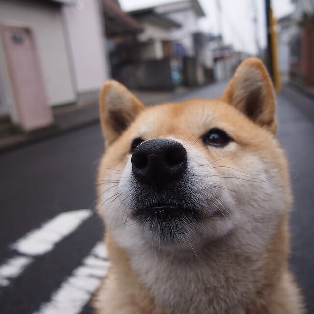开云体育在线入口-《竞技精神：电竞比赛中的公平竞争理念》，电竞精神有哪些