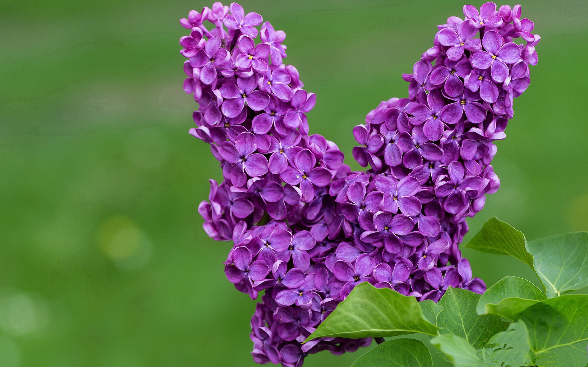 kaiyun 开云体育-【运动员专访】丁俊晖：如何用科学训练突破自我？，丁俊晖教学示范视频