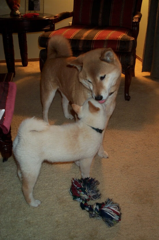 开云·体育全站登录地址-德甲精彩瞬间不断，战术变化带来无限可能，德甲德甲